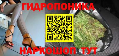 бошки Кимры