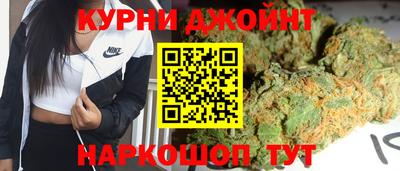 jwh Кингисепп