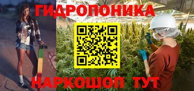 jwh Кингисепп