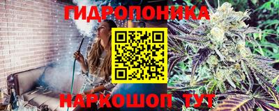 бошки Кимры