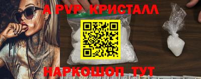 jwh Кингисепп
