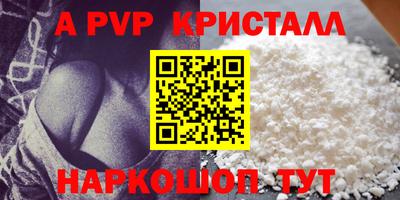 jwh Кингисепп