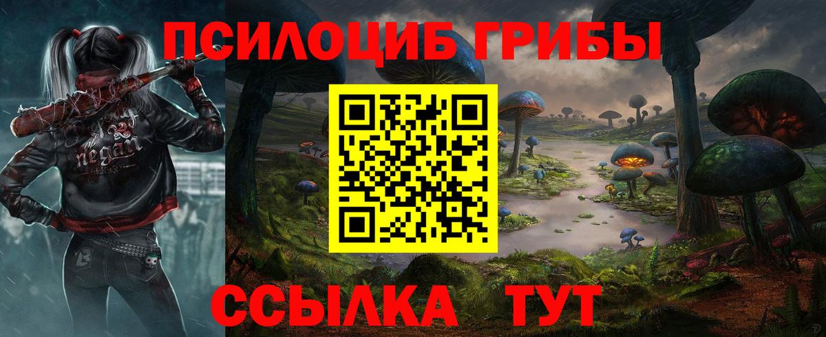 Псилоцибиновые грибы Cubensis Кохма